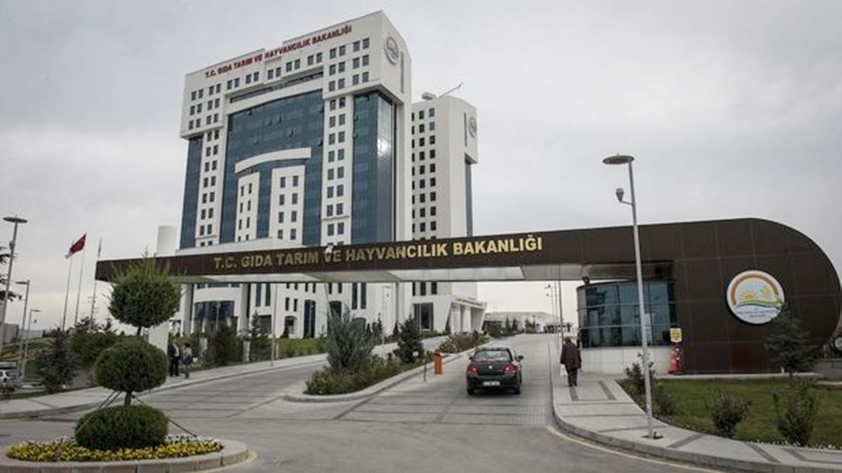 İmalatçılara ithalat yetkisi verilecek