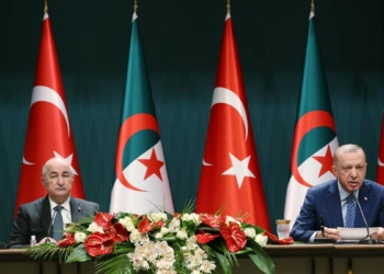 İsveç ve Finlandiya'nın NATO üyeliğine hayır
