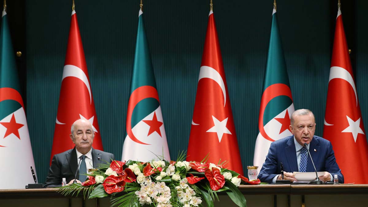 İsveç ve Finlandiya'nın NATO üyeliğine hayır