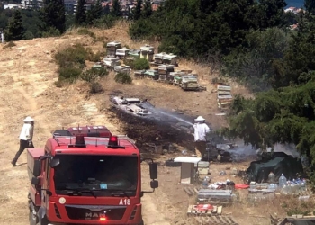 İzmir'de orman yangını