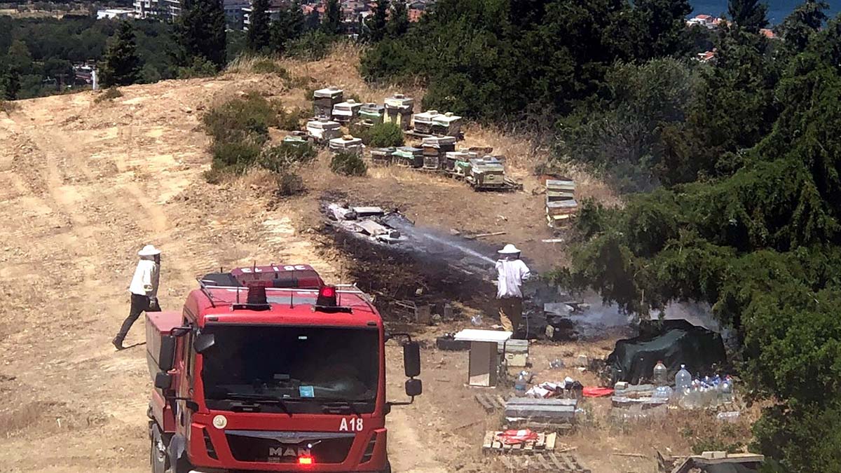 İzmir'de orman yangını