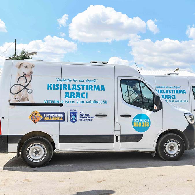 Kısırlaştırma seferberliği Başkent'te başladı