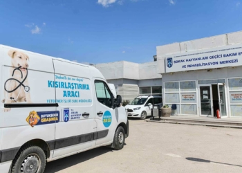 Kısırlaştırma seferberliği Başkent'te başladı