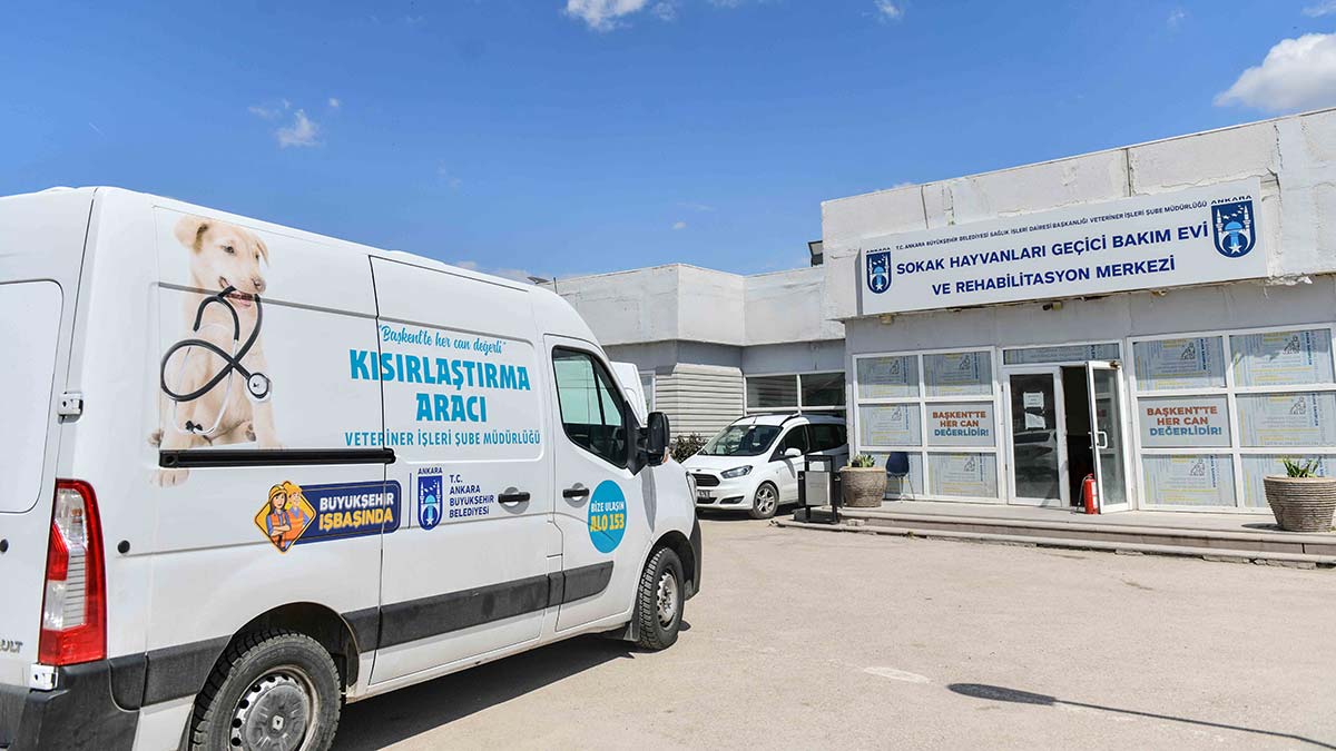 Kısırlaştırma seferberliği Başkent'te başladı