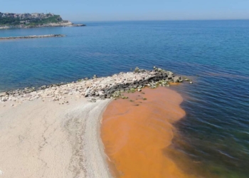 Karadeniz'de renk değişimi korkuttu