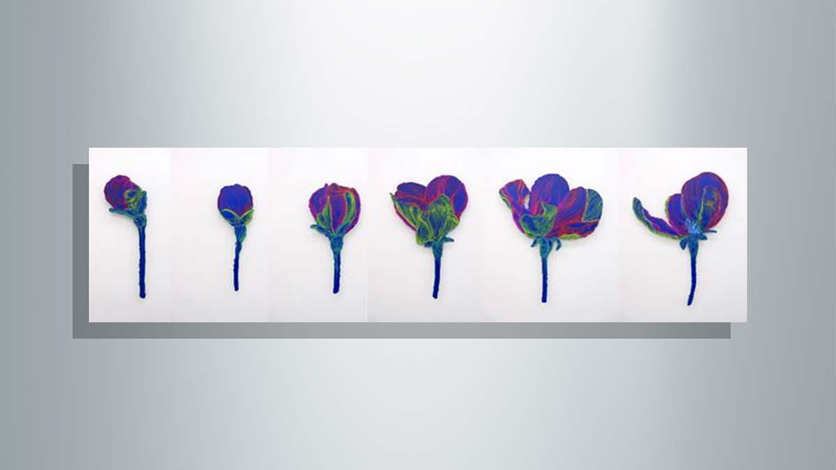 Karma sergi 'No:1 2022' ziyarete açılacak