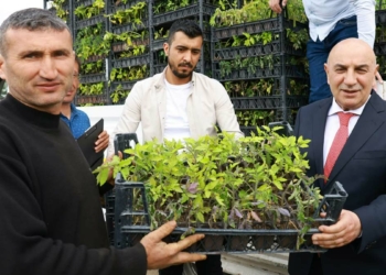 Keçiören Belediyesi, 4 köyde sebze fidesi dağıttı