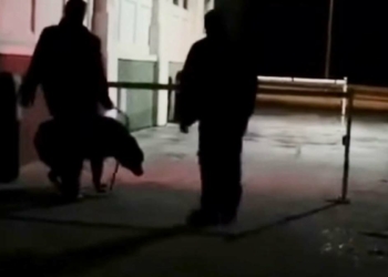 Köpeğe vuran güvenlik görevlisi tutuklandı
