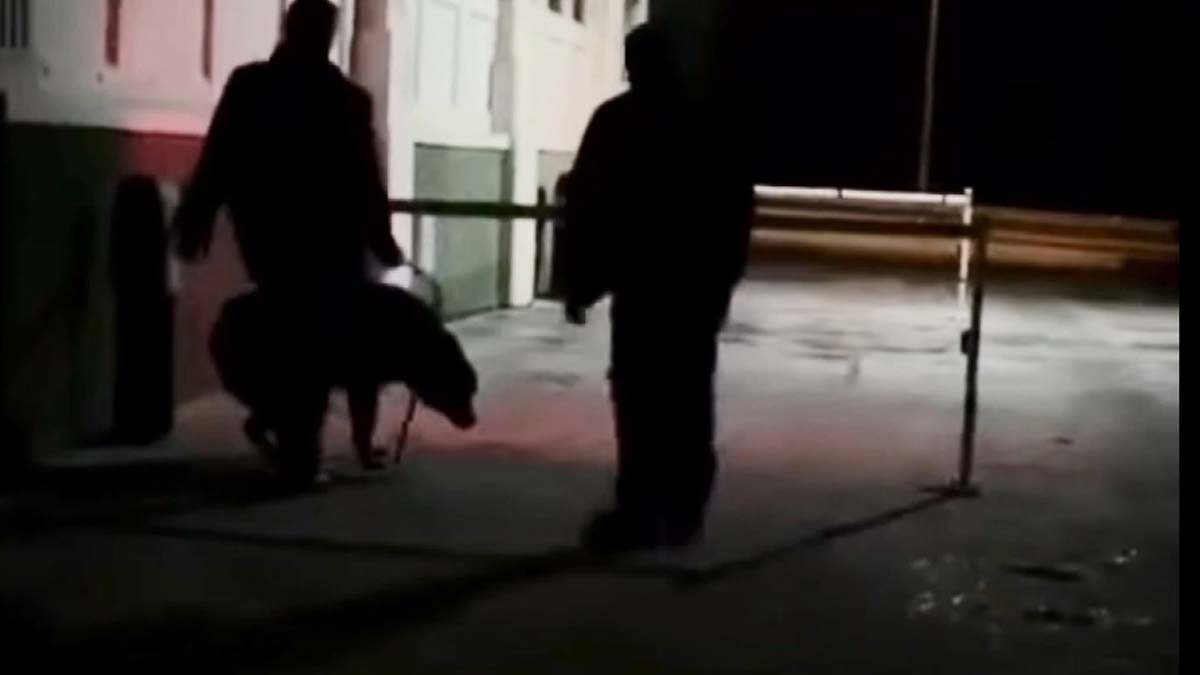 Köpeğe vuran güvenlik görevlisi tutuklandı