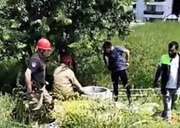 Kuyuya düşen yavru köpekleri itfaiye kurtardı