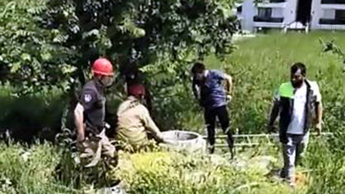 Kuyuya düşen yavru köpekleri itfaiye kurtardı