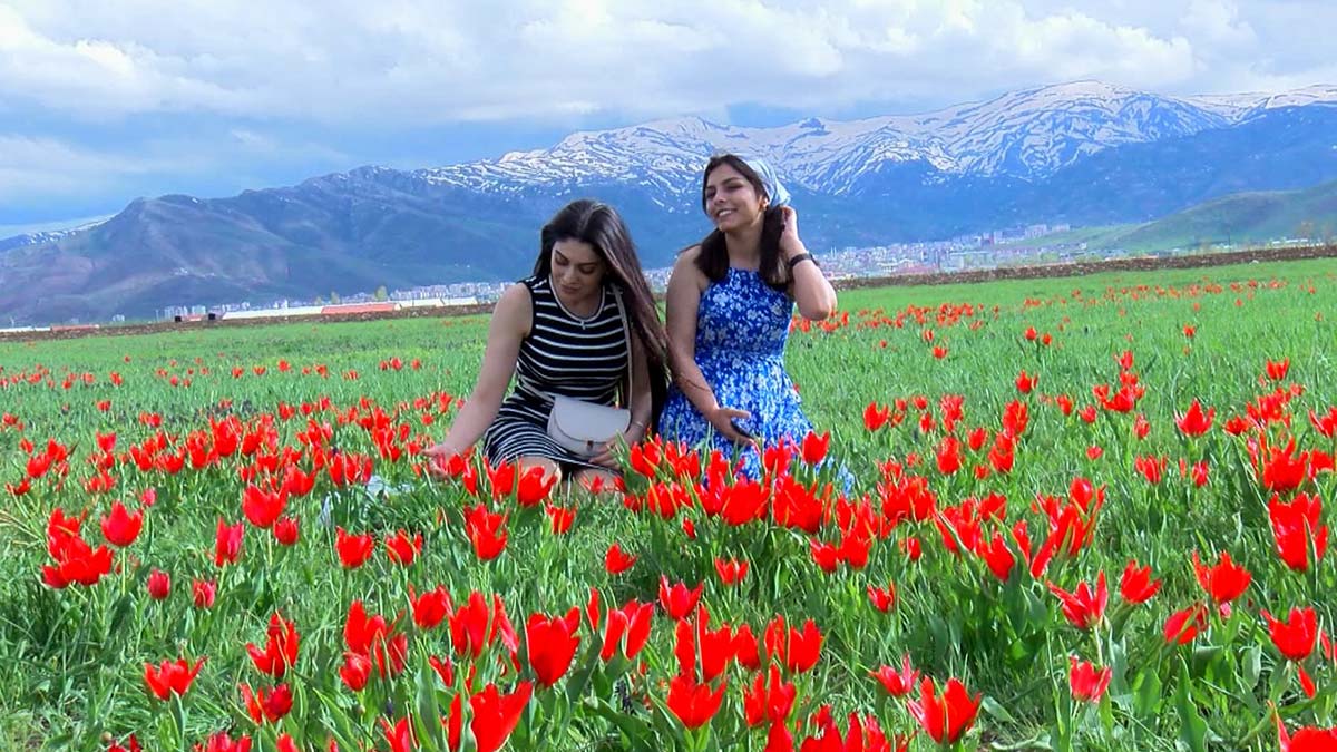 Muş Ovası, 'Muş 1071'le güzelleşti