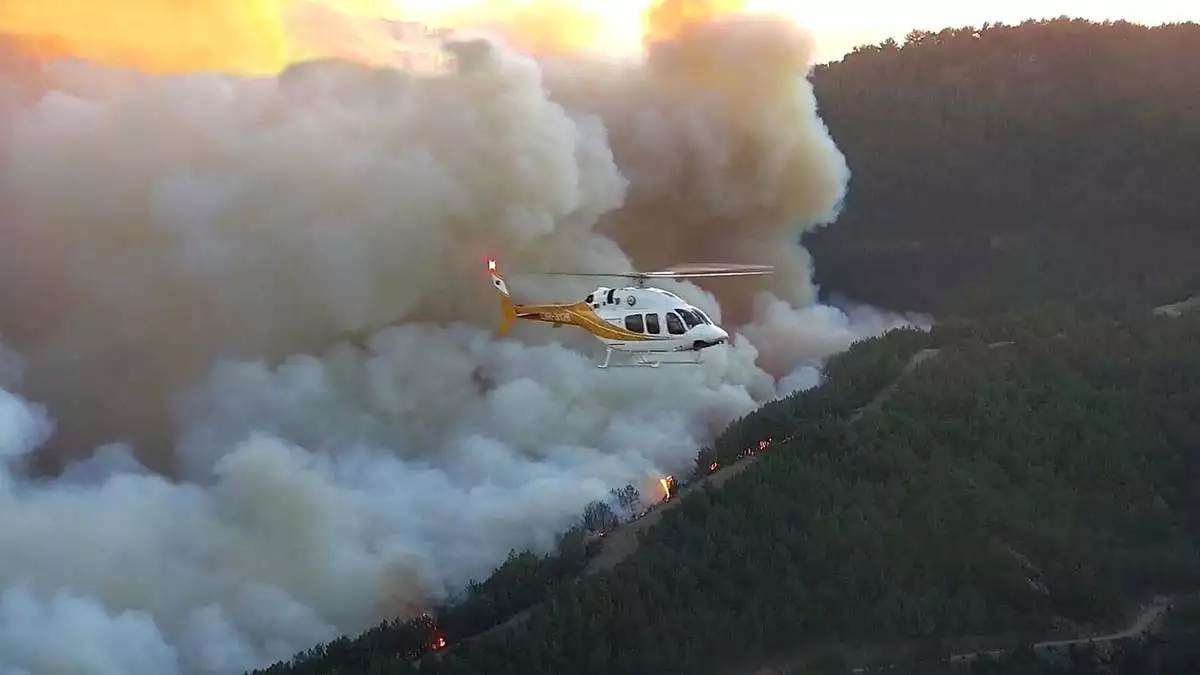 Orman yangınları için 'havacılık dairesi' kuruldu