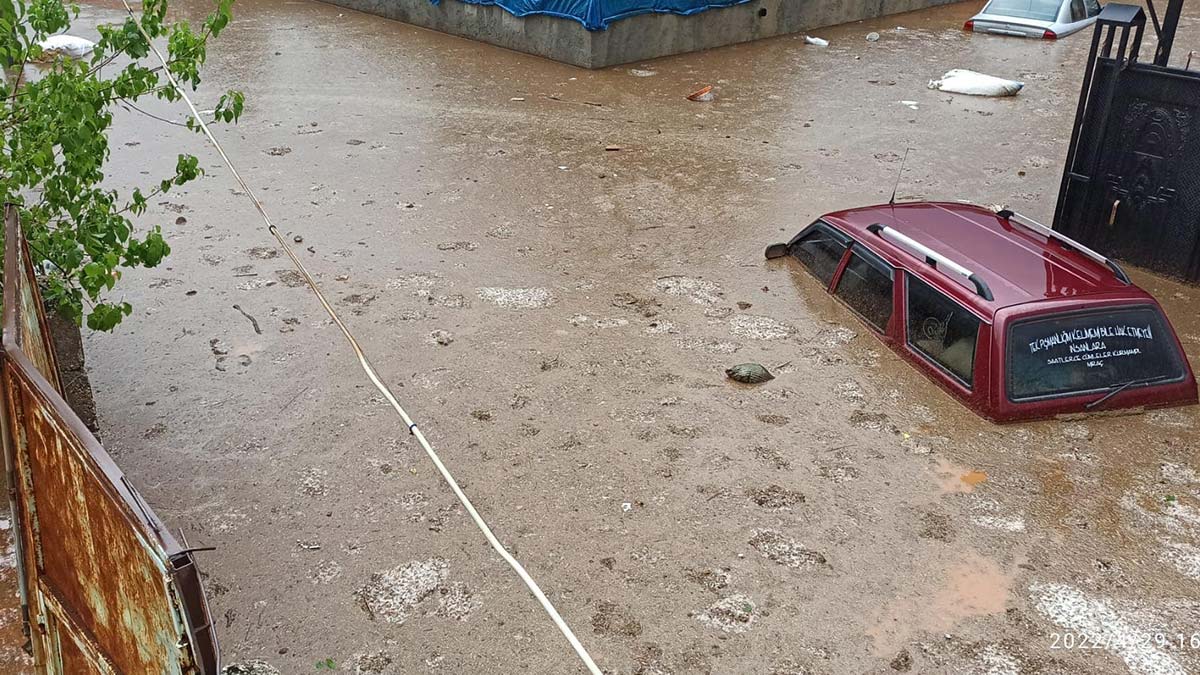 Şanlıurfa'da sel; hayvanlar su altında kaldı