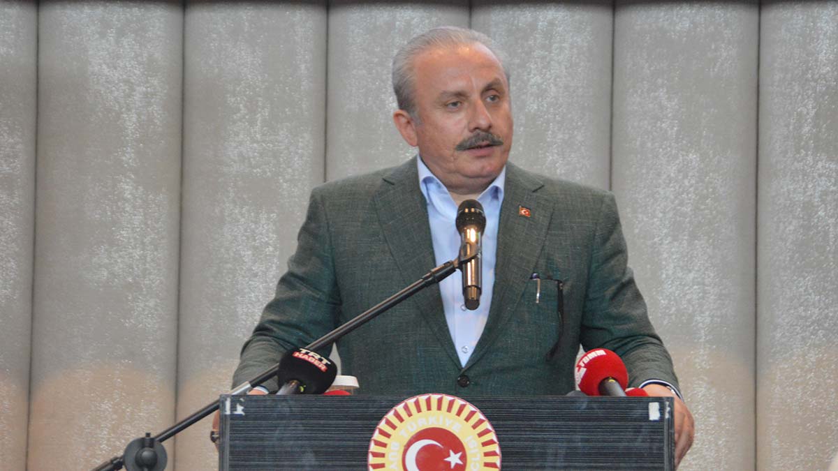 Şentop: Göç küresel bir sorun