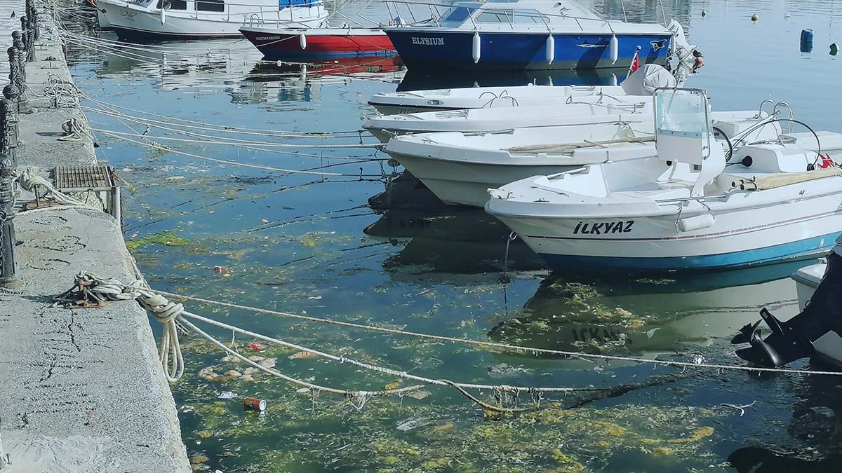 Silivri Sahili'nde deniz, çöplüğe döndü