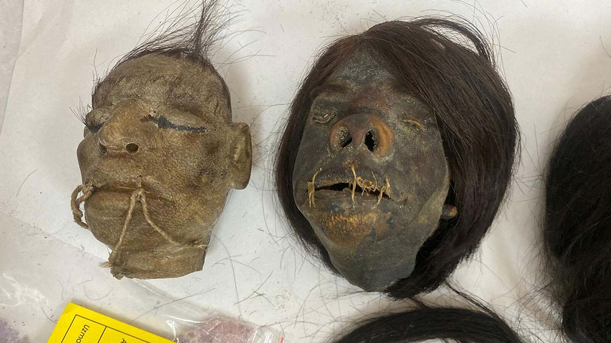 'Tsantsa'lar geldiği ülkeye iade edilecek