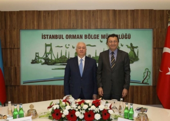 Türkiye ve Azerbaycan'dan yangınlara karşı birlik
