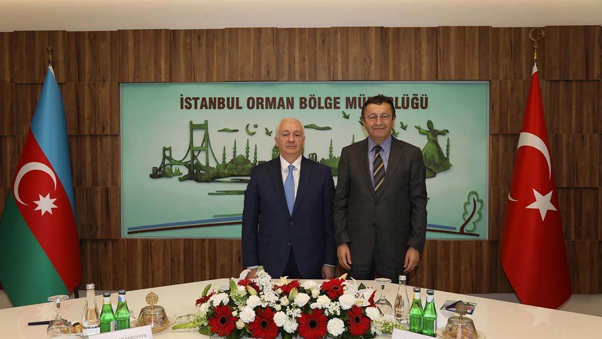 Türkiye ve Azerbaycan'dan yangınlara karşı birlik