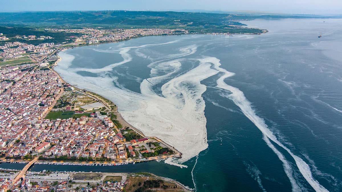 Ultrasonik ses frekansıyla müsilaj mücadelesi