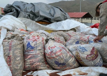 Van'da kaçak avlanan inci kefalleri ele geçirildi