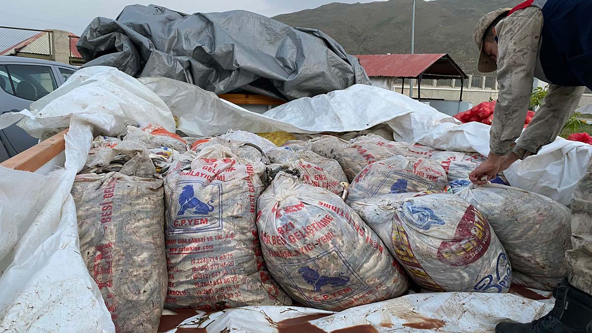 Van'da kaçak avlanan inci kefalleri ele geçirildi