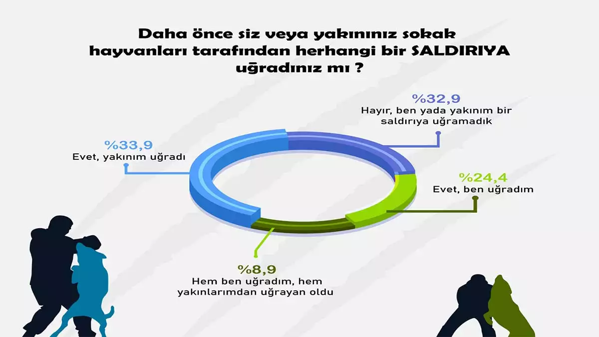 Vatandaslar saldirgan kopekleri tehlikeli buluyor 1 - yaşam - haberton