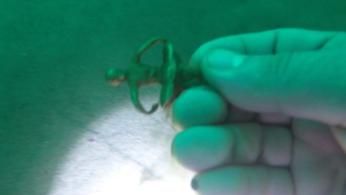 Akçakale Kalesi'nde başlatılan kazılarda kalıntı aranıyor