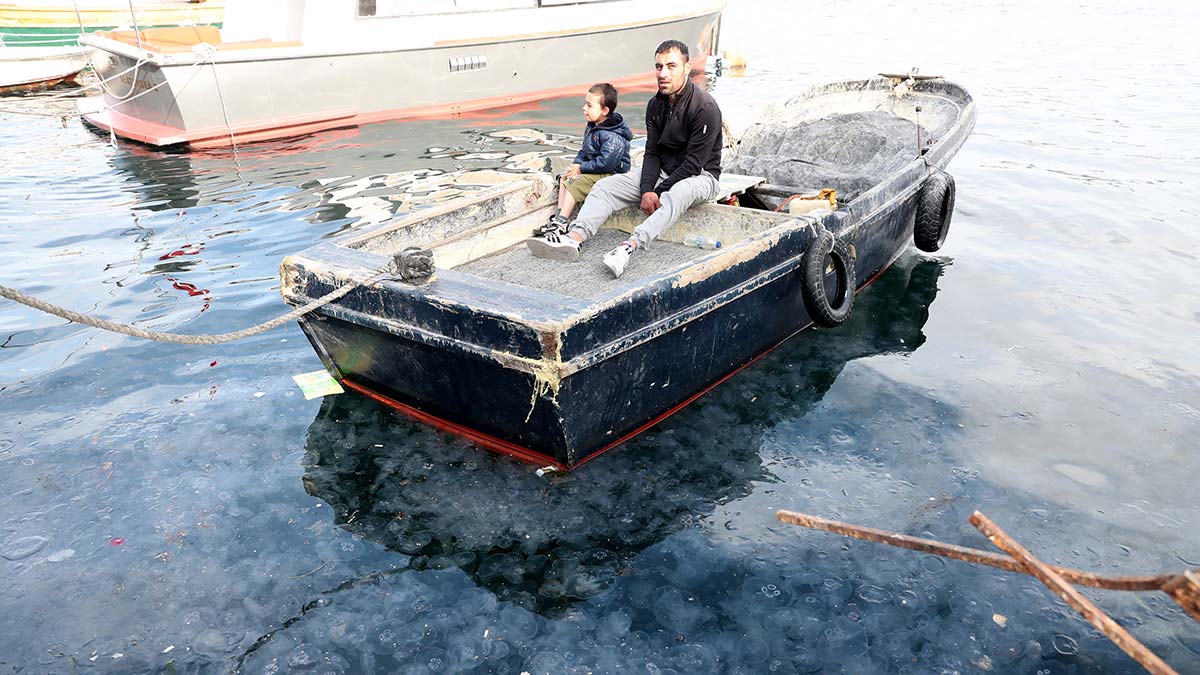 Denizanası istilası tedirgin etti