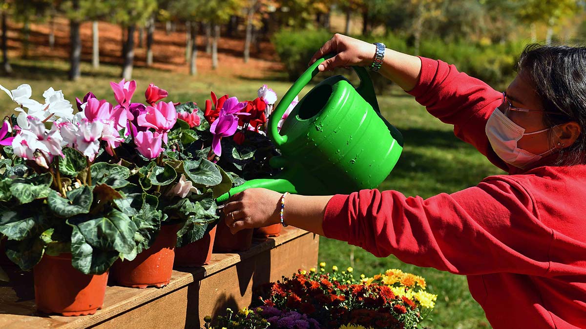 ANFA'dan özel mülklere peyzaj hizmeti