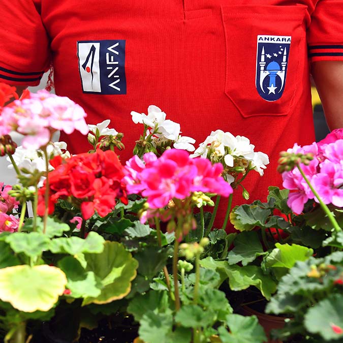 ANFA'dan özel mülklere peyzaj hizmeti