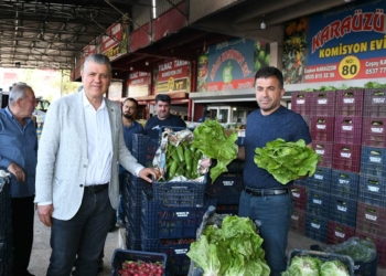 Marul sebze halinde 1 lira markette 10 lira