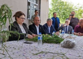 Bakan Yanık'tan Kadirli'de dolu yağışı sonrası inceleme