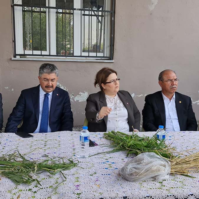 Bakan Yanık'tan Kadirli'de dolu yağışı sonrası inceleme