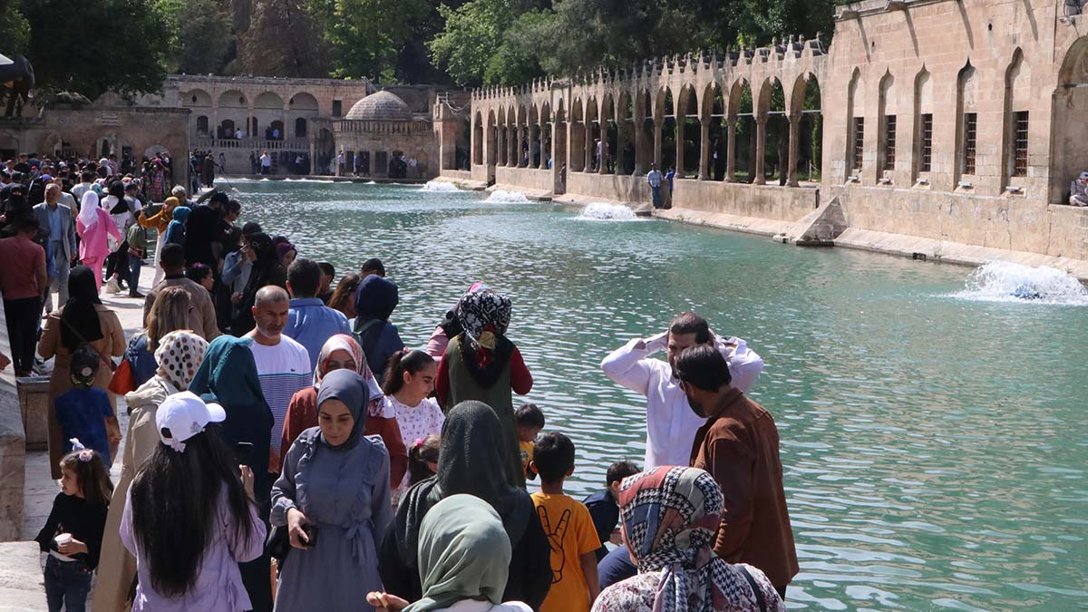 Balıklıgöl'de balık ölümleri