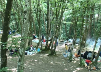 Belgrad Ormanı girişinde araç kuyruğu