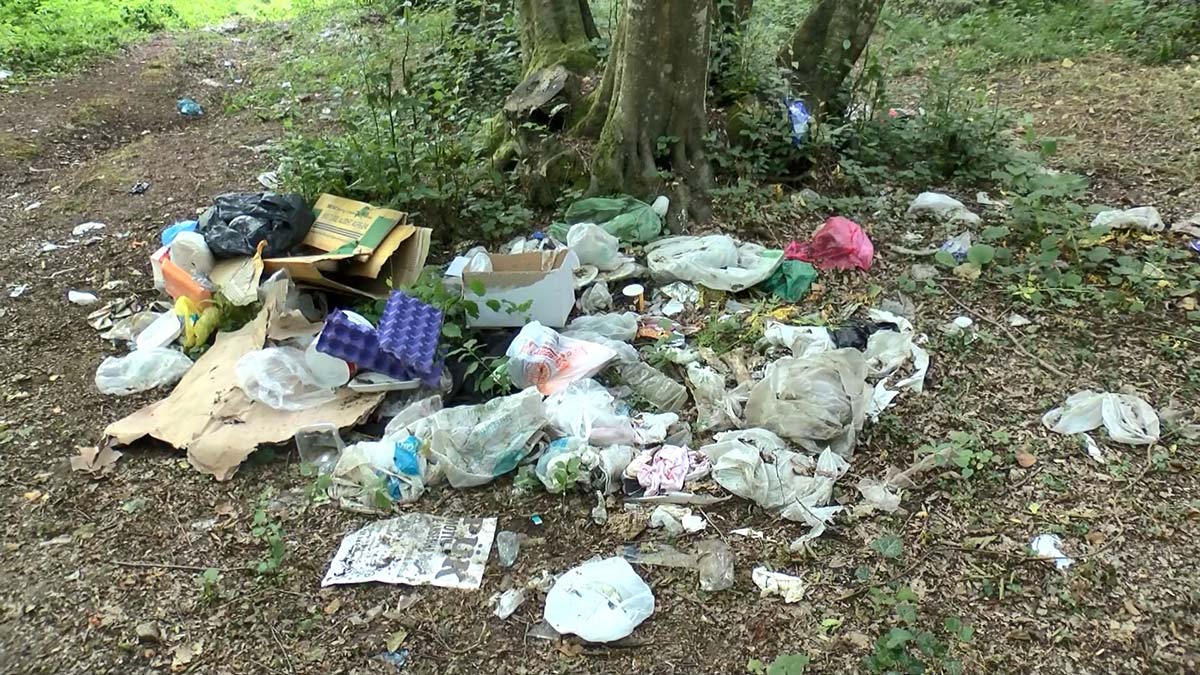 Piknikçiler arkalarında çöp yığınları bıraktı