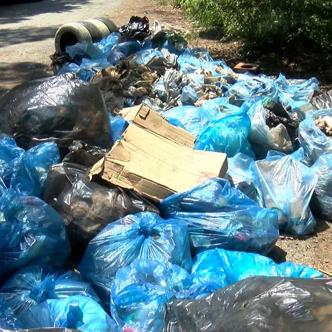 Belgrad Ormanı'nda atıklar toplandı