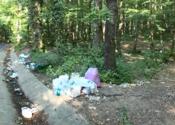 Belgrad Ormanı'nı çöplüğe çevirdiler
