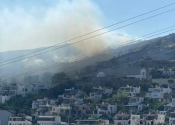 Bodrum'da otluk ve makilik alanda yangın