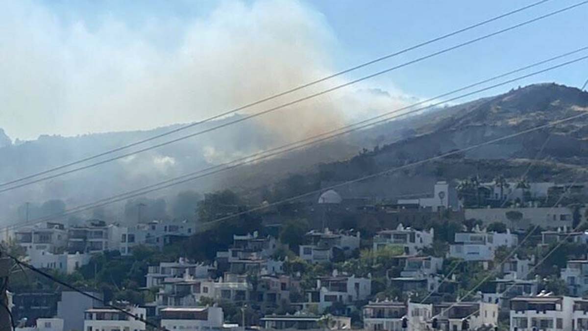 Bodrum'da otluk ve makilik alanda yangın