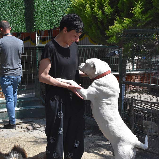 Can Bonomo'nun ablası kimsesiz köpeklere sahip çıktı