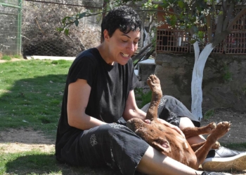 Can Bonomo'nun ablası kimsesiz köpeklere sahip çıktı