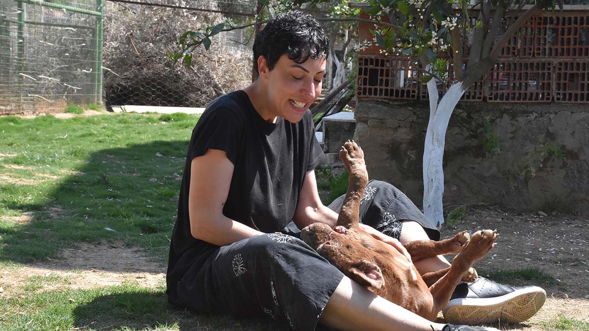 Can Bonomo'nun ablası kimsesiz köpeklere sahip çıktı