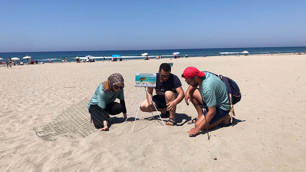 Caretta caretta yasağına uymayanlara 109 bin TL ceza