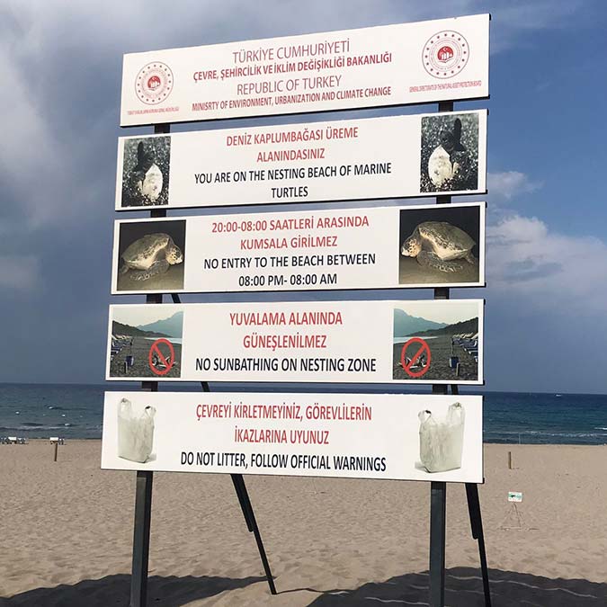 Caretta caretta yasağına uymayanlara 109 bin TL ceza