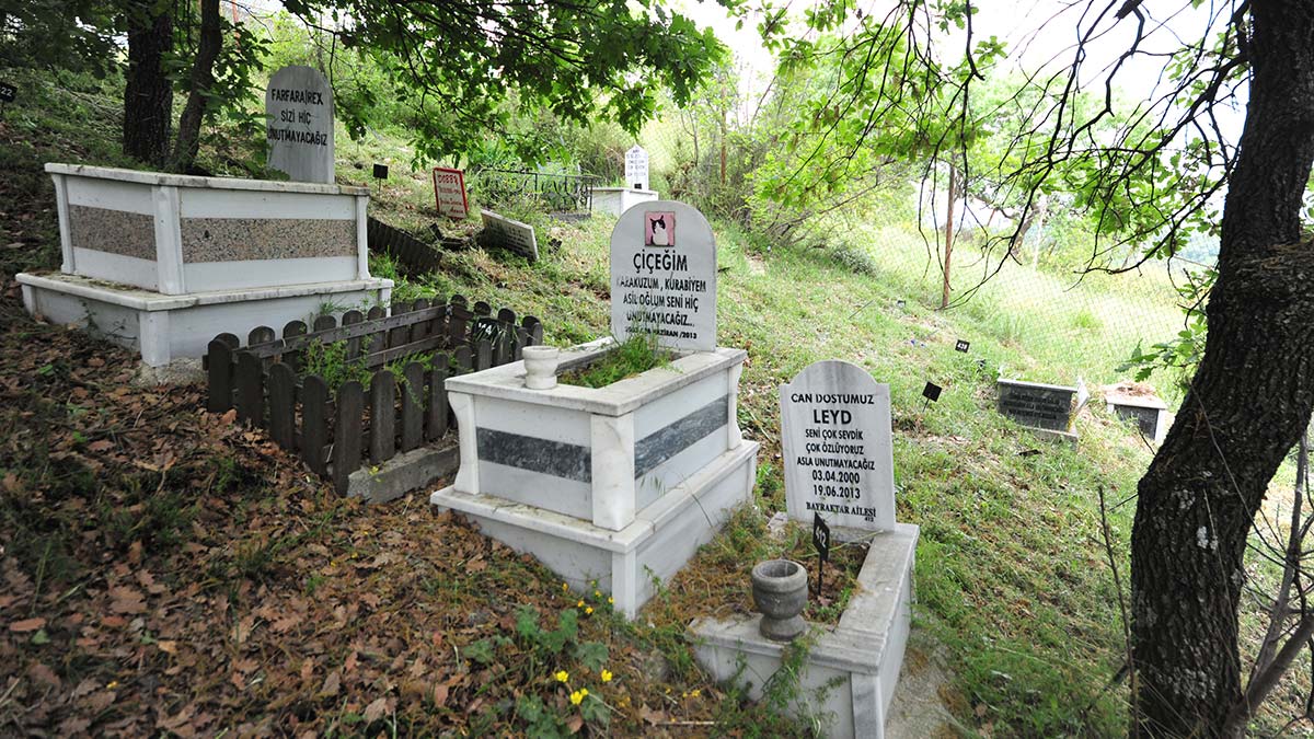 Evcil Hayvan Mezarlığına bayram ziyareti