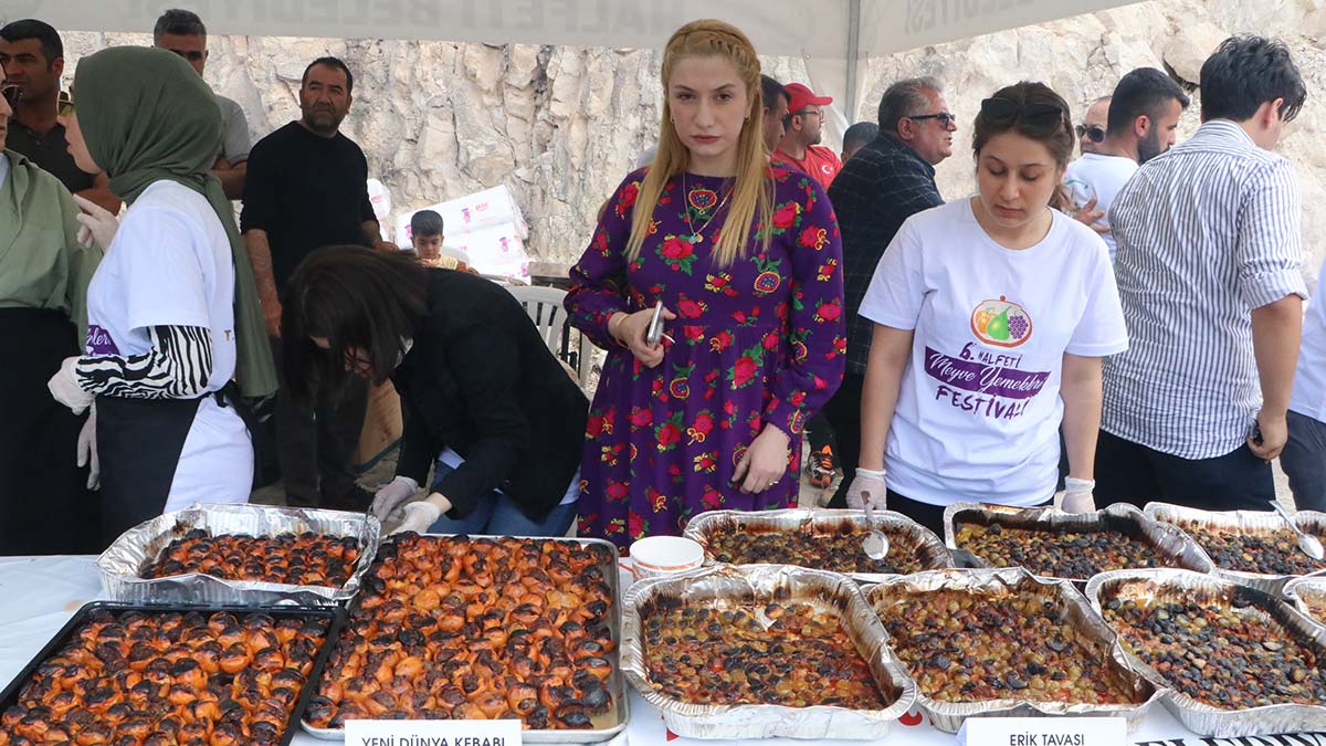 Halfeti Meyve Yemekleri Festivali düzenlendi