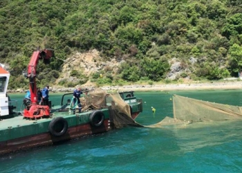 İstanbul'da 3 kaçak dalyan kaldırıldı
