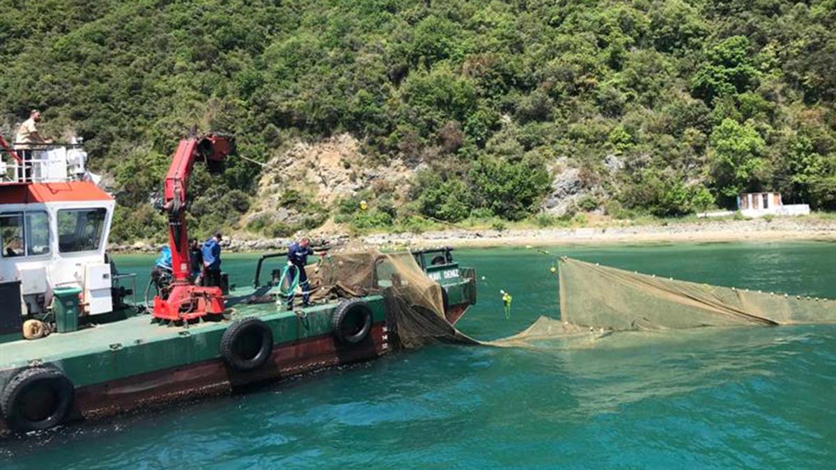İstanbul'da 3 kaçak dalyan kaldırıldı